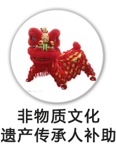 非物质文化遗产名录项目代表性传承人补助经费