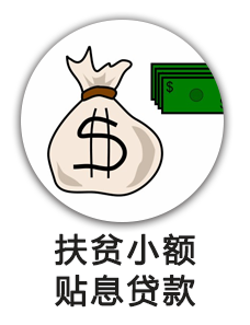 扶贫小额贴息贷款