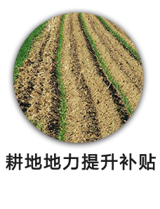 耕地地力提升补贴