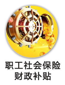 贵州省天然林资源保护工程一次性安置职工社会保险中央和省级财政补贴资金