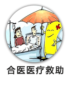 合医医疗救助
