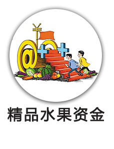 精品水果资金