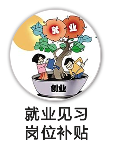 就业见习岗位补贴