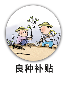 良种补贴
