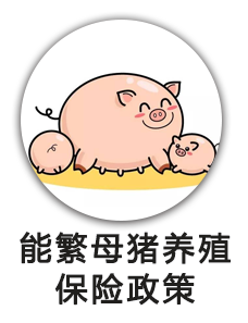 能繁母猪养殖保险政策