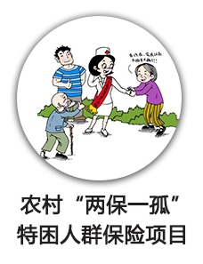 农村“两保一孤”特困人群保险项目
