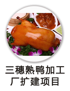 农民生活用煤补助