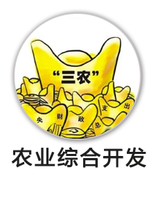 农业综合开发