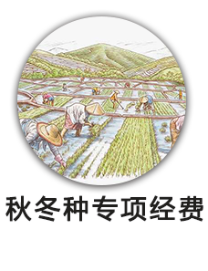 秋冬种专项经费