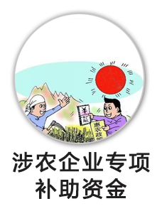 涉农企业专项补助资金