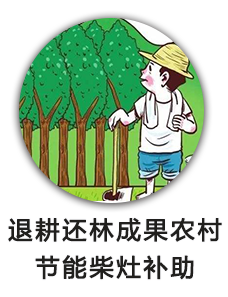 退耕还林成果农村节能柴灶补助