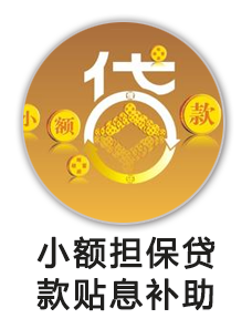 小额担保贷款贴息