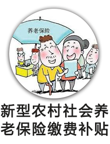 新型农村社会养老保险缴费补贴