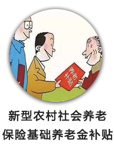 新型农村社会养老保险基础养老金补贴