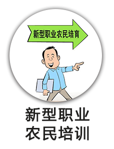 新型职业农民培训