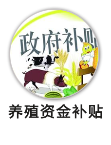 养殖资金补贴