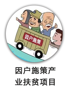 因户施策产业扶贫项目