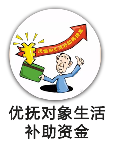 优抚对象生活补助资金