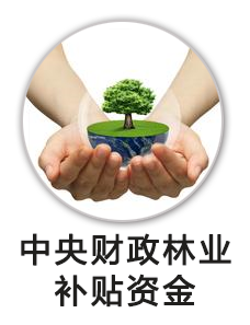 中央财政林业补贴资金