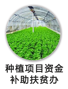 种植项目资金补助扶贫办