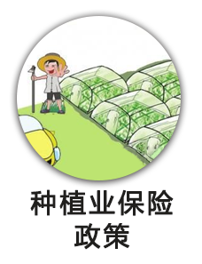 种植业保险政策
