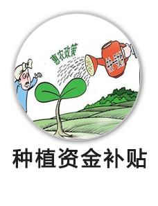 种植资金补贴